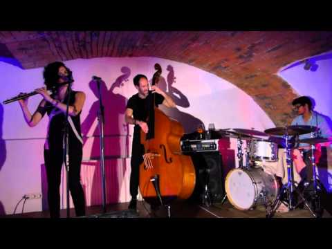 Hadar Noiberg Trio - Live at Jazz im Scherhaufgut, Wels, Austria, 2016-02-09
