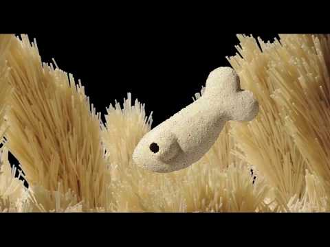 SUN DEW - Noodle Fish (Official Video)