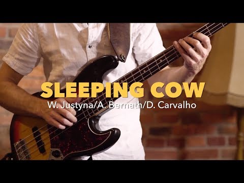 Wojtek Justyna TreeOh! - &quot;Sleeping Cow&quot; (Official Music Video)