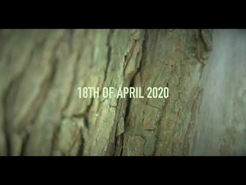 Teaser - album release the 18th of April - Žofie Kašparová &amp; The Peacock Tree
