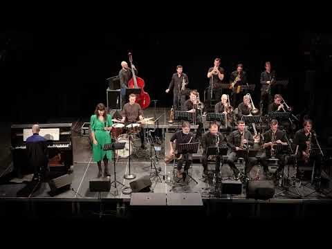 Cotatcha Orchestra feat. Mirna Bogdanovic, Divadlo Husa na provazku, 11.12.2023