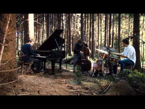 Robert Balzar Trio (Levíček/Balzar/Slezák) Madness