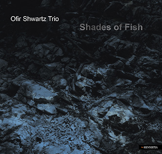 ShadesOfFishCover